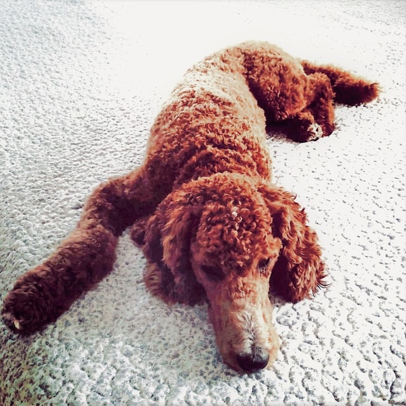 HELLO ALL - I'M TINA (aka. NeedMyCoffee) - Picture 2 of 4